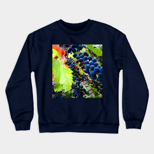 Grapes on the Street in France Crewneck Sweatshirt by JonDelorme